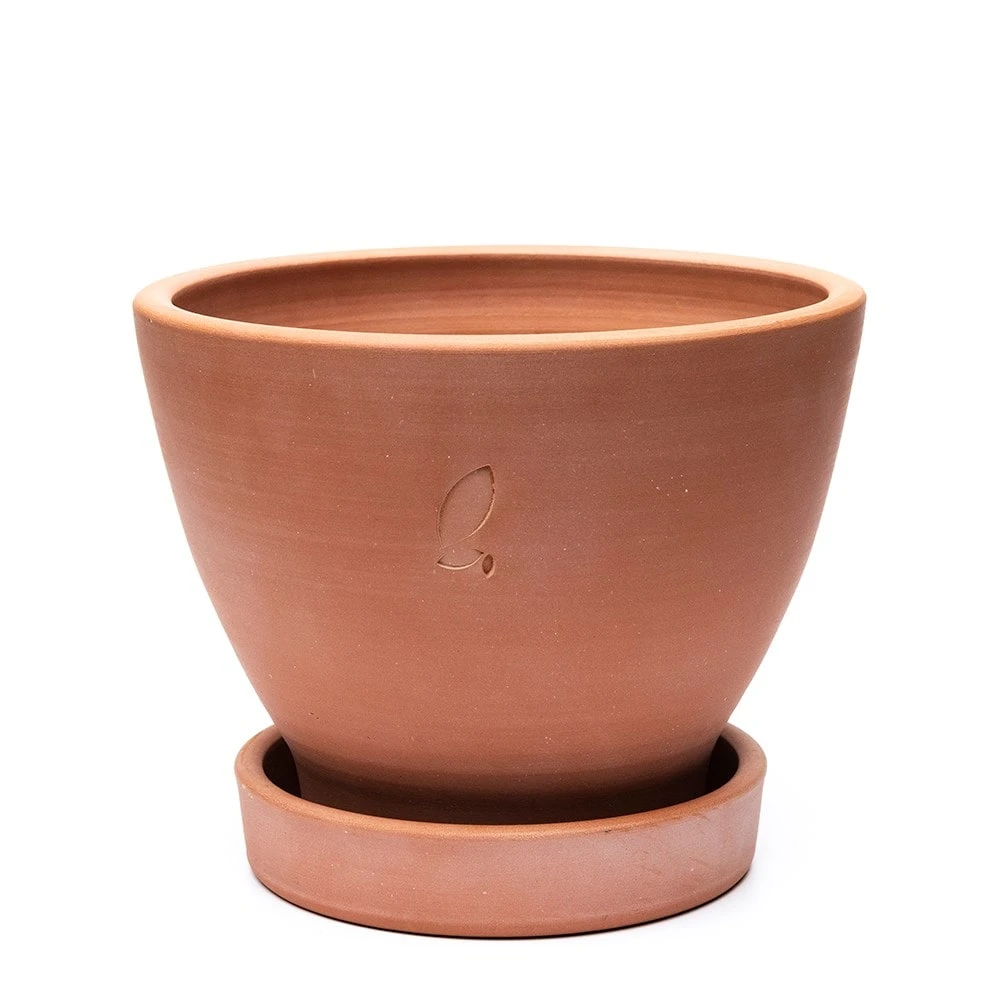 Terracotta Herb Pot And Saucer - Small - Image 3
