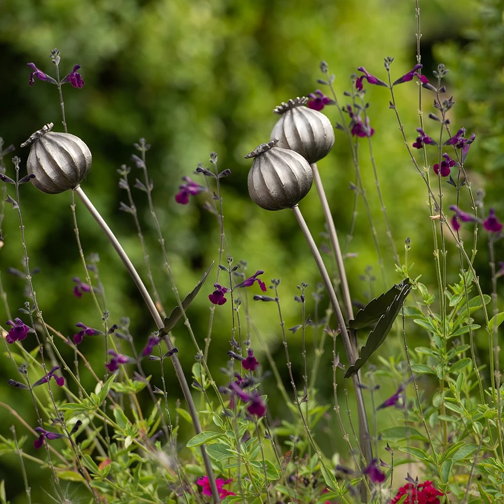 Poppy Seed Head Stake - Large Seed Head - Image 6