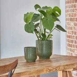 Reactive Glaze Plant Pot - Forest Green