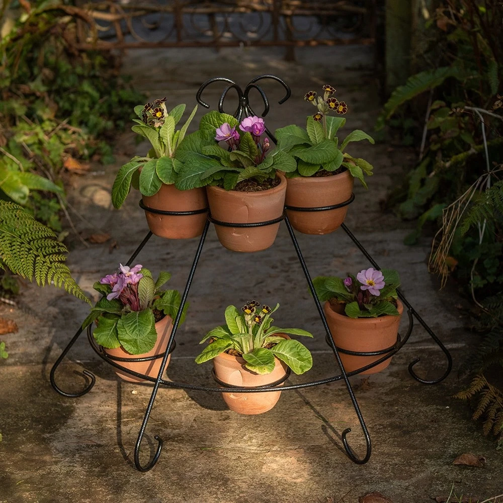 Tiered Plant Theatre - 6 Pots - Image 4