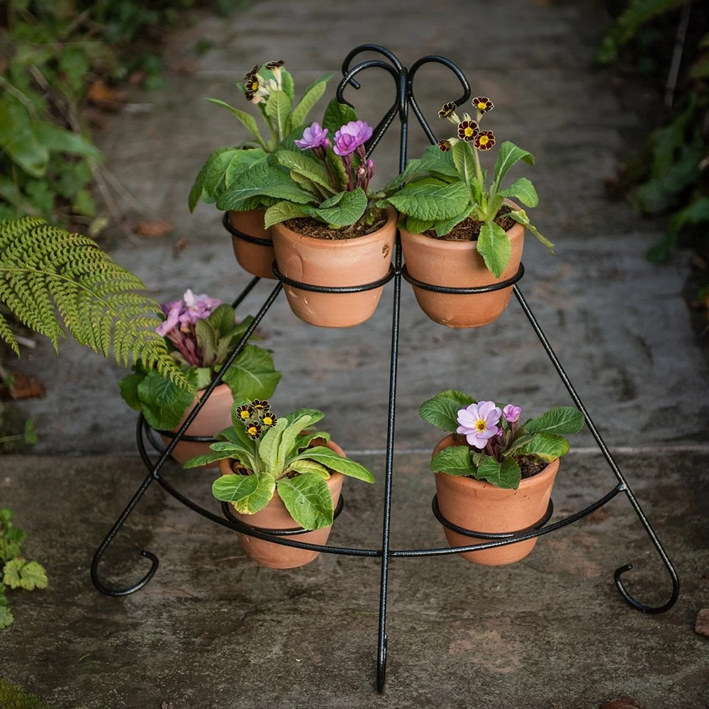 Tiered Plant Theatre - 6 Pots - Image 5