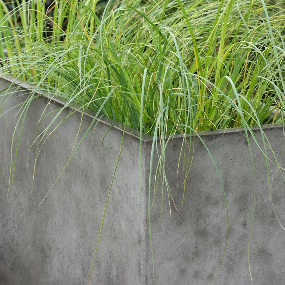 Rectangular Terrace Planter - Weathered Cement - Image 2
