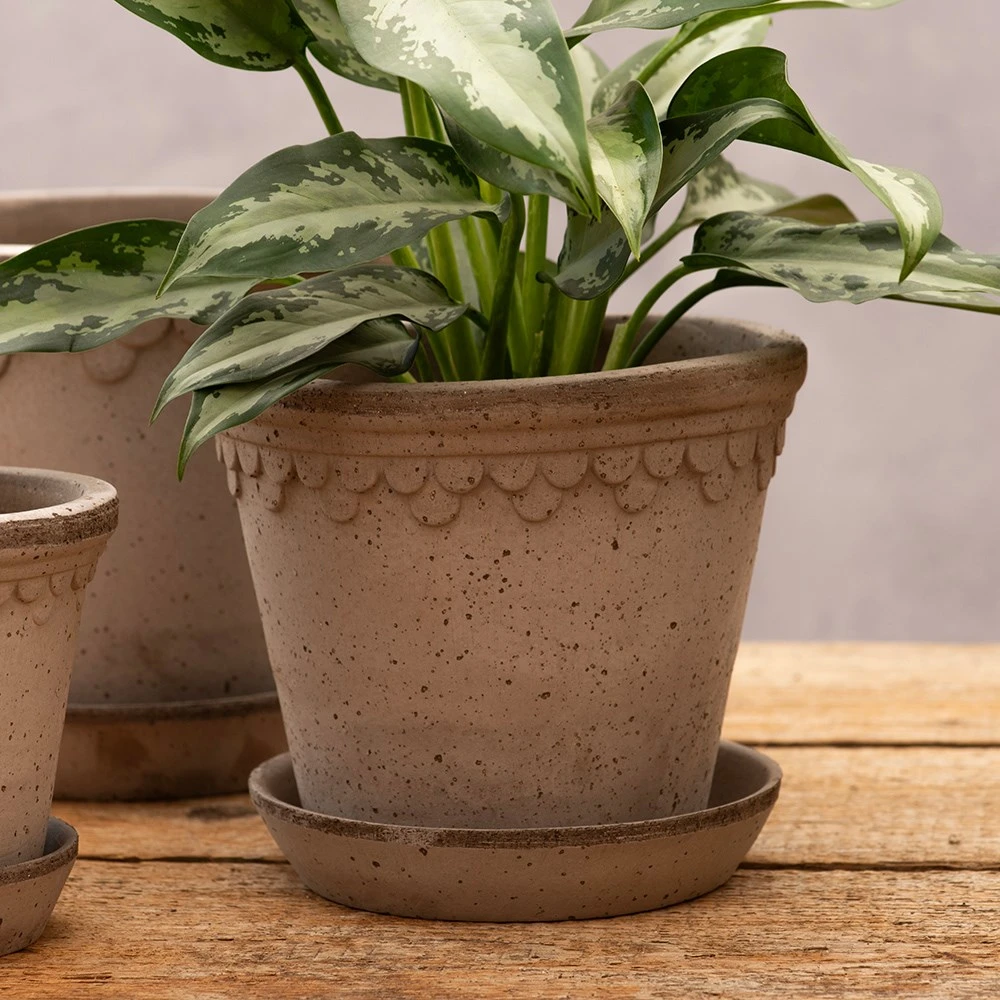 Scalloped Tapered Plant Pot With Saucer - Grey Terracotta - Image 4