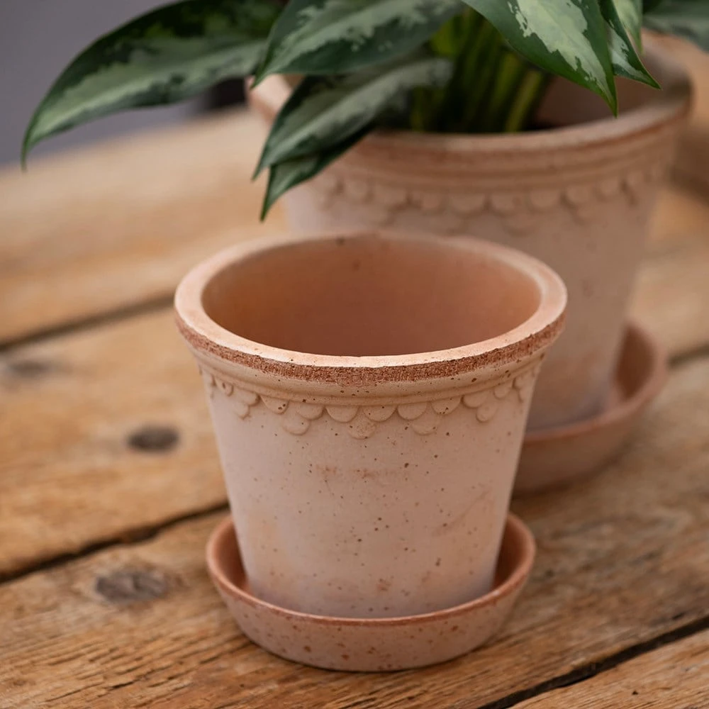 Scalloped Tapered Plant Pot With Saucer - Terracotta - Image 2