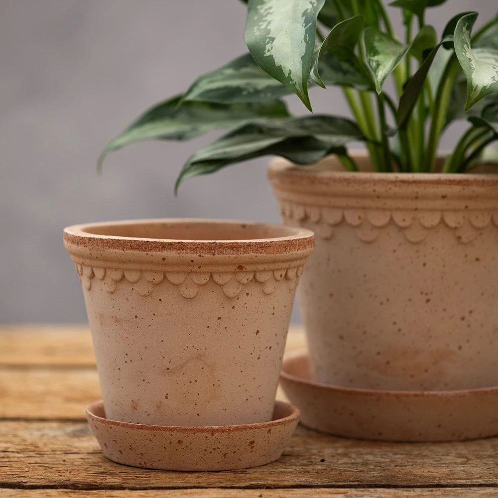 Scalloped Tapered Plant Pot With Saucer - Terracotta - Image 4