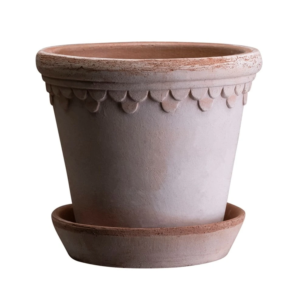 Scalloped Tapered Plant Pot With Saucer - Terracotta - Image 5